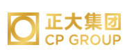 如皋正大集团