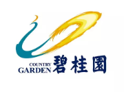 如皋碧桂园地产